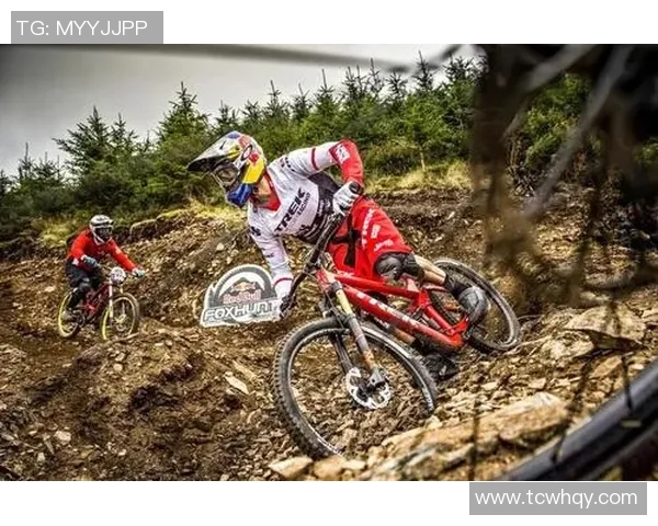 极限运动赛事权威评估实力榜单发布引发热议与关注