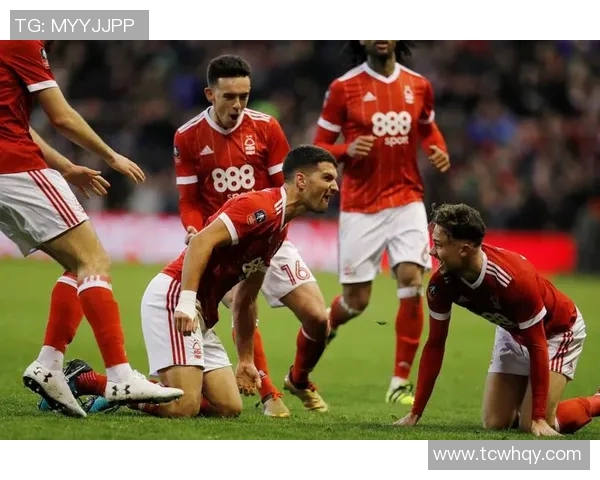 哥本哈根与哈维德夫的较量谁能在这场对决中脱颖而出 哥本哈根与哈维德夫的较量谁能在这场对决中脱颖而出