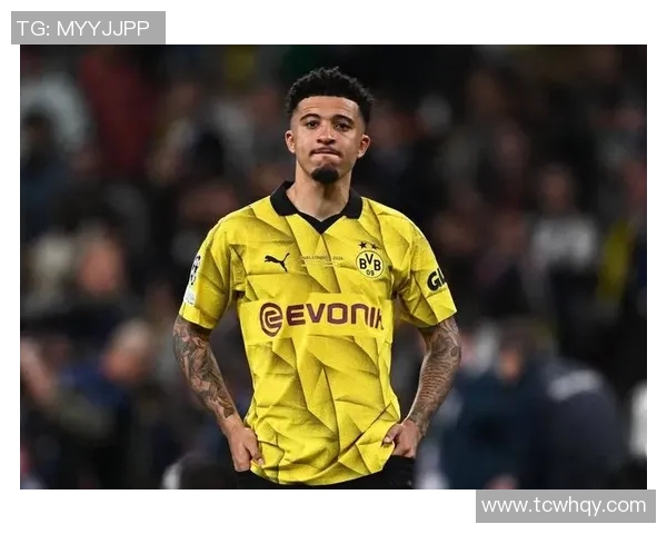 桑乔在绿茵场上的崛起与挑战：从天才少年到足球巨星的奋斗历程