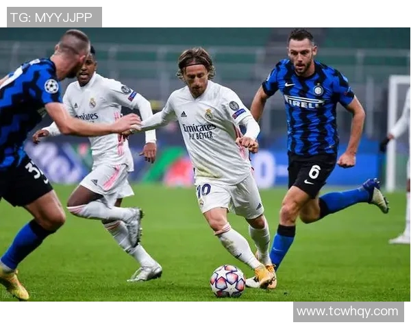 灰熊与蓝网激战正酣球员表现引发球迷热议与期待