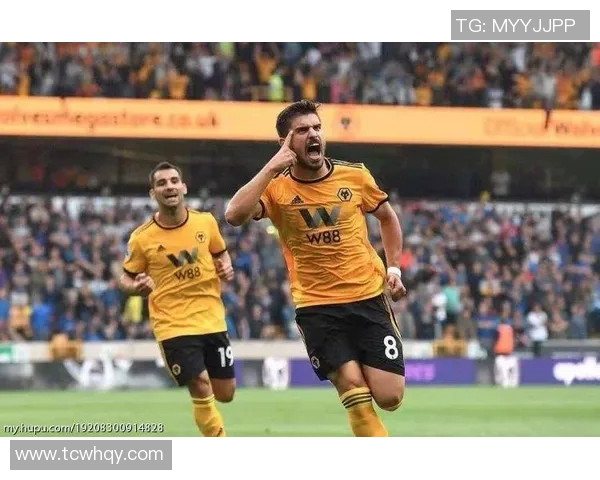 狼队与卡迪夫城的激烈对决谁能笑到最后精彩回顾与分析 狼队与卡迪夫城的激烈对决谁能笑到最后精彩回顾与分析