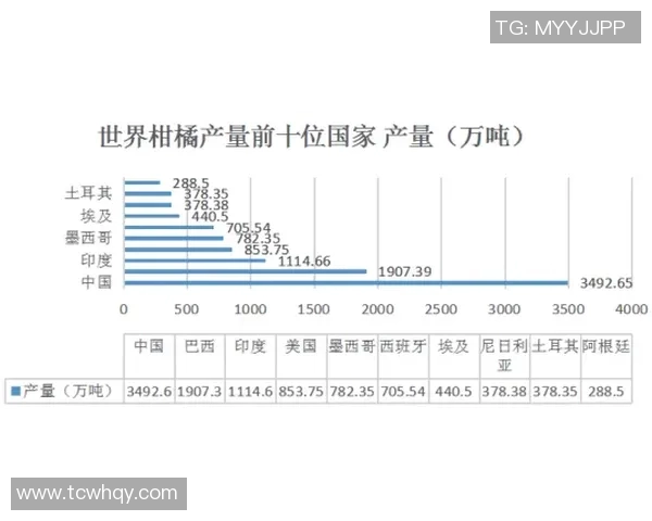 索肖与沙特鲁的激烈对决揭示法乙联赛新动态与球队未来潜力分析