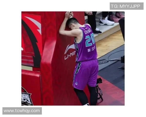 陶汉林:从篮球新星到国家队核心的成长之路与奋斗历程 陶汉林:从篮球新星到国家队核心的成长之路与奋斗历程